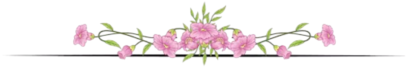 3edrt-removebg-preview