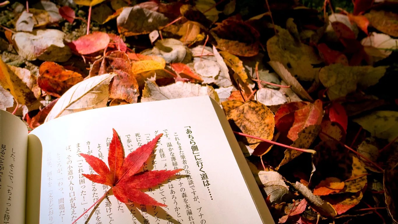 Autumn-leaves-Japanese-book_1366x768